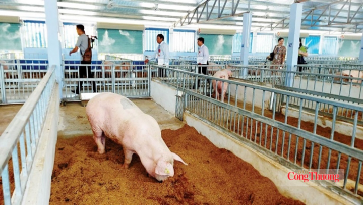 Chăn nuôi là một trong những “nguồn máy phát” khí mê-tan lớn nhất thế giới.