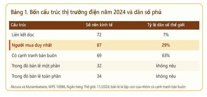Bốn cấu trúc thị trường điện năm 2024 và dân số phủ
