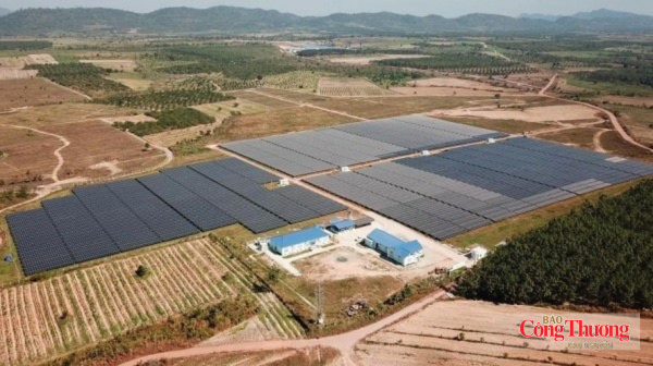 Với cơ chế “luồng xanh”, tỉnh Đắk Lắk đẩy nhanh tháo gỡ vướng mắc liên quan đến các dự án nguồn điện.