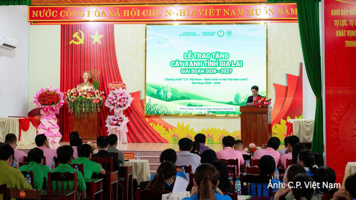 C.P. Việt Nam phối hợp cùng Cục Lâm nghiệp và Kiểm lâm tổ chức Lễ trao tặng và phát động trồng cây xanh tại xã Bình Dương (tỉnh Gia Lai).
