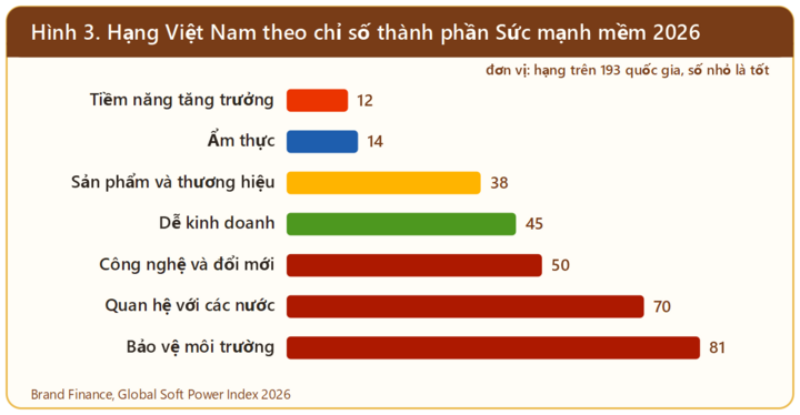 Việt Nam đứng ở đâu trên bản đồ thương hiệu thế giới? - 6