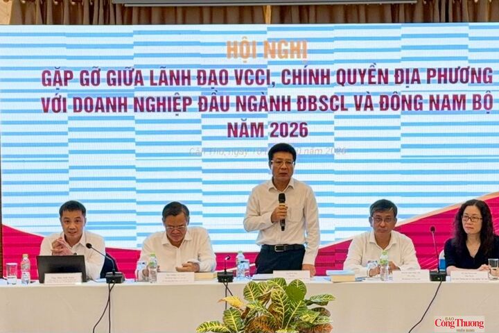 Ông Hồ Sĩ Hùng, Chủ tịch Liên đoàn Thương mại và Công nghiệp Việt Nam (VCCI), phát biểu kết luận tại hội nghị.