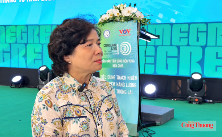 Bà Trần Thị Dung, Phó Chủ tịch Hội Bảo vệ người tiêu dùng Việt Nam. Ảnh: Minh Đức