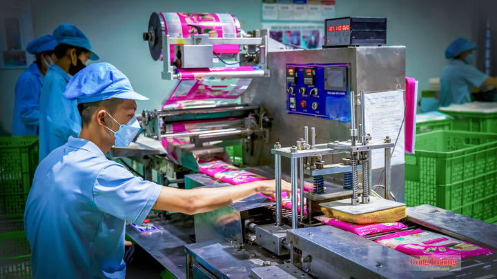 Dây chuyền đóng gói bánh tráng tự động.