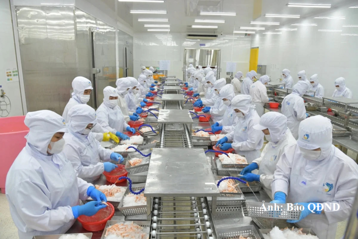 Năm 2025, kim ngạch thương mại hàng hóa song phương đạt 2,9 tỷ franc Thụy Sĩ (CHF).