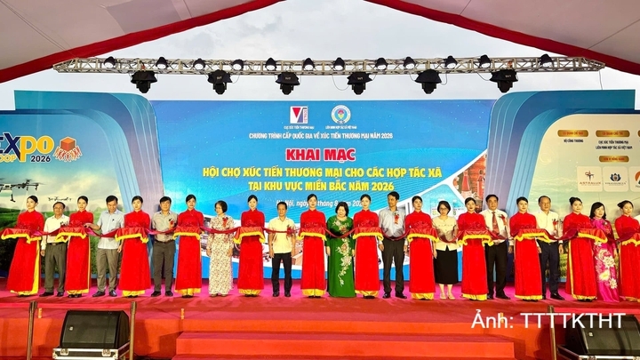 Hội chợ xúc tiến thương mại cho các hợp tác xã tại khu vực miền Bắc năm 2026.