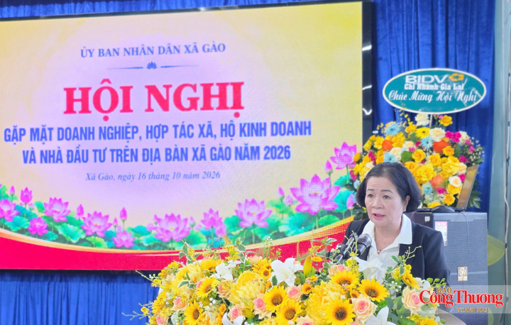Bà Nguyễn Thị Sen, Chủ tịch Hiệp hội Doanh nghiệp tỉnh Gia Lai, Chủ tịch HĐQT Công ty CP Công trình đô thị Gia Lai phát biểu tại hội nghị.