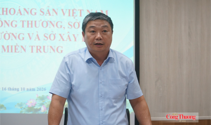 Cục trưởng Cục Địa chất và Khoáng sản Việt Nam Trần Bình Trọng phát biểu kết luận buổi làm việc