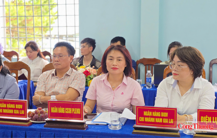 Gia Lai: Cấp xã đồng hành cùng doanh nghiệp, thúc đẩy kinh tế tư nhân - 6
