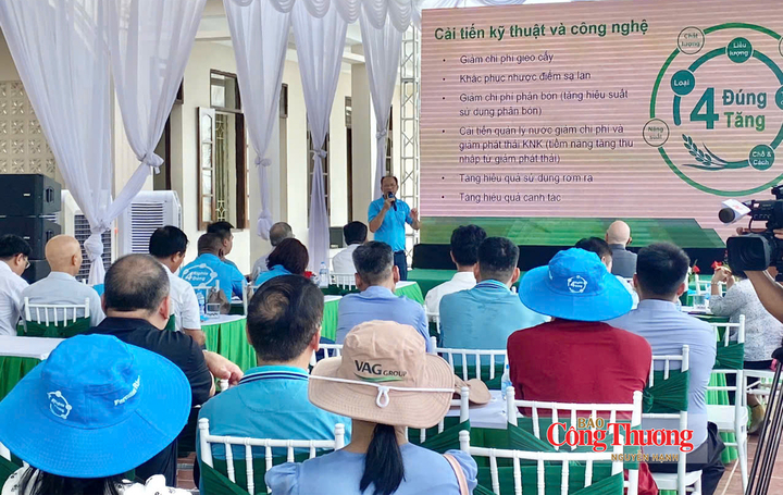 Hội nghị tổng kết mô hình canh tác lúa hiệu quả cao, xanh và bền vững vụ Mùa năm 2026.