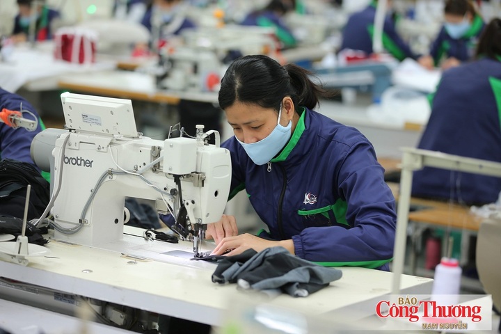 Doanh nghiệp dệt may chuyển hướng nguồn cung, đáp ứng quy tắc xuất xứ của CPTPP.