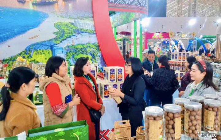 Tại Hội chợ Mùa Xuân lần thứ nhất năm 2026 ở Hà Nội, Gia Lai có 30 đơn vị tham gia, đạt doanh số 859,47 triệu đồng. Tỉnh cũng được biểu dương, ghi nhận thành tích trong việc tham gia Không gian trưng bày đặc biệt, góp phần vào thành công chung của hội chợ.