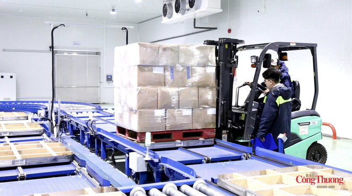 Logistics TP. Hồ Chí Minh hướng tới năng lực điều phối dòng hàng hóa của cả vùng.
