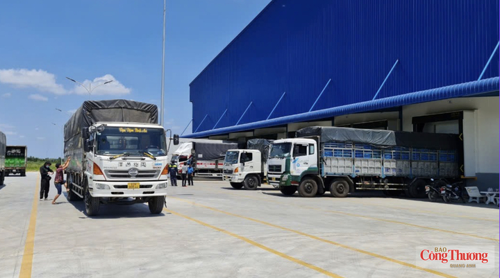 Theo chuyên gia, dịch vụ logistics của TP. Hồ Chí Minh còn tập trung nhiều vào các khâu cơ bản như vận tải, kho bãi, xếp dỡ, giao nhận, thông quan, phân phối.