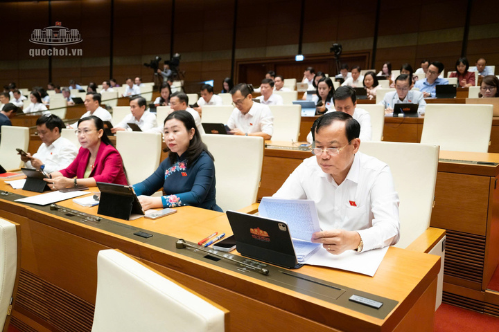 Các đại biểu dự phiên họp. Ảnh: Quochoi.vn