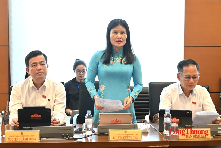 Đại biểu Bùi Thị Quỳnh Thơ- Phó Chủ nhiệm Ủy ban Công tác đại biểu của Quốc hội (Đoàn Đại biểu Quốc hội tỉnh Hà Tĩnh).