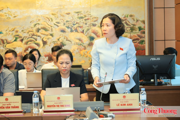 Đại biểu Lê Kim Anh