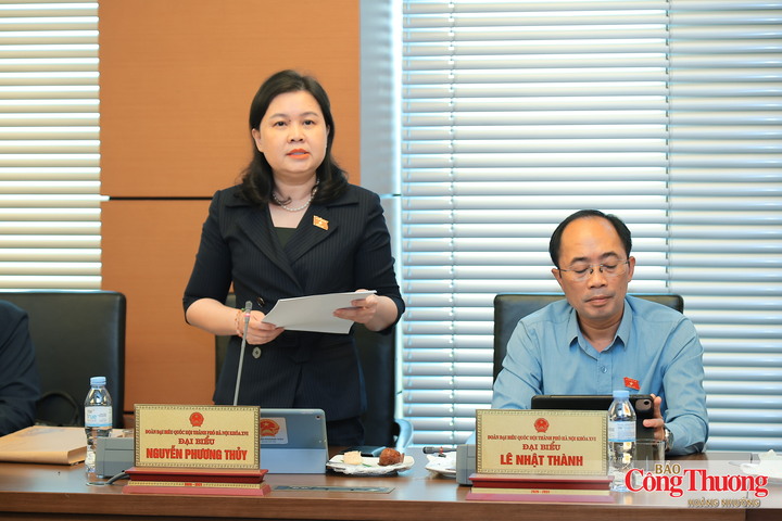 Đại biểu Nguyễn Phương Thủy