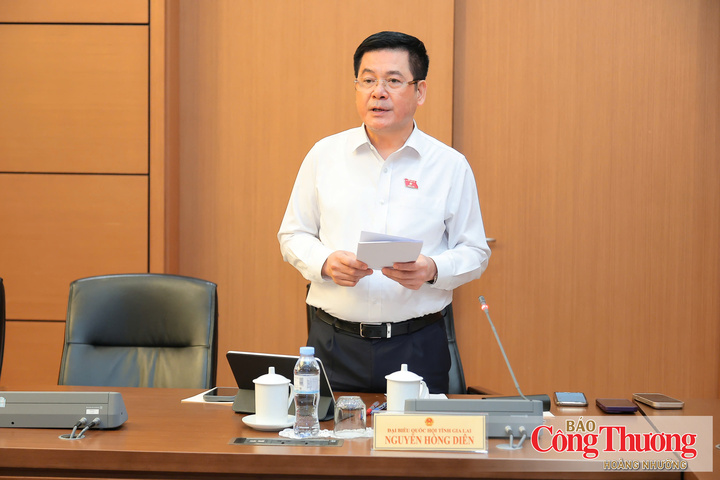 Phó Chủ tịch Quốc hội Nguyễn Hồng Diên phát biểu tại phiên thảo luận Tổ