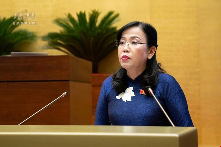 Chủ nhiệm Ủy ban Khoa học, Công nghệ và Môi trường Nguyễn Thanh Hải trình bày Báo cáo thẩm tra.