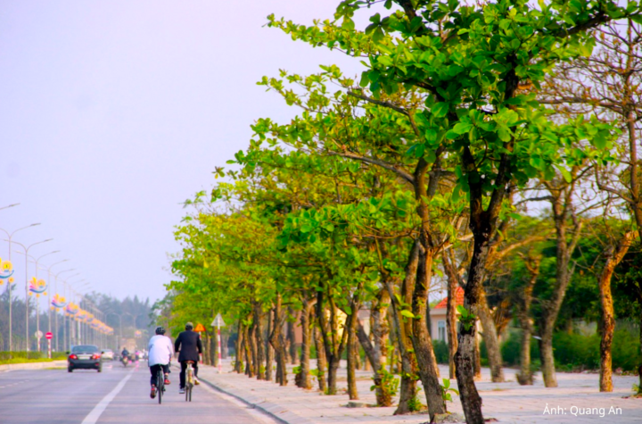 Những góc bình yên nơi đô thị biển Cửa Lò.