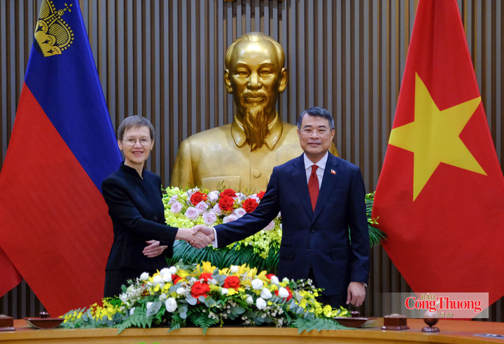 Sau lễ đón chính thức, Thủ tướng Lê Minh Hưng và Thủ tướng Liechtenstein Brigitte Haas tiến hành hội đàm nhằm đánh giá kết quả hợp tác giữa hai nước thời gian qua và đề xuất các phương hướng hợp tác thời gian tới.