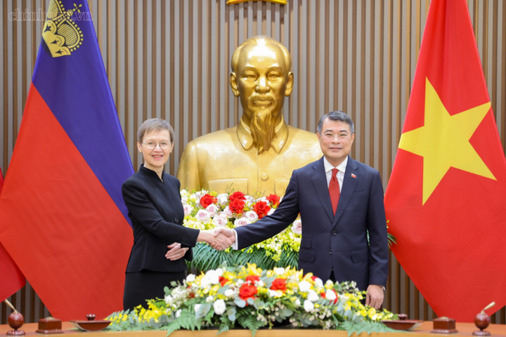 Thủ tướng Lê Minh Hưng hội đàm với Thủ tướng Liechtenstein - Ảnh: chinhphu.vn/Nhật Bắc