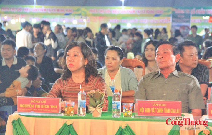Các đại biểu tham dự lễ khai mạc.