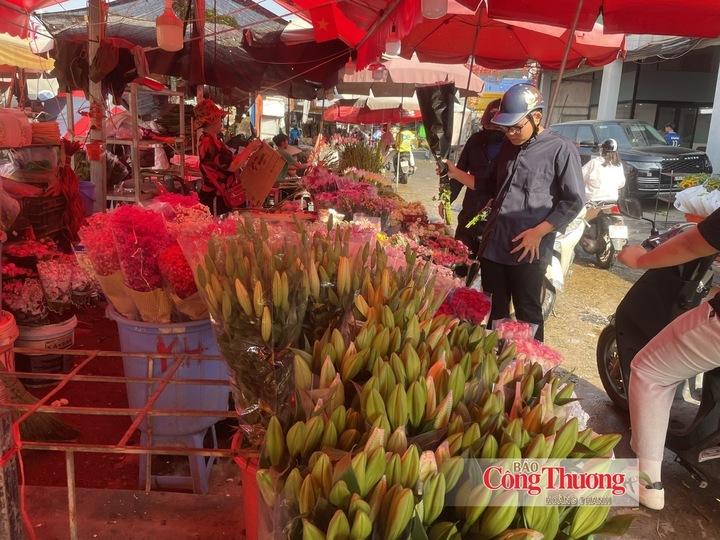 Khách hàng chọn hoa tại chợ hoa Quảng Bá.
