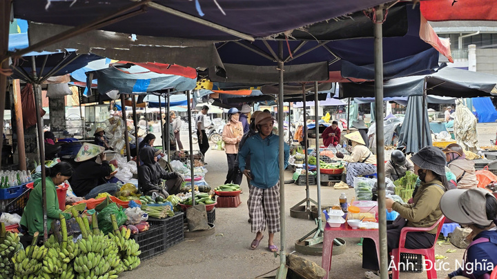 Khu chợ bán sản vật rừng này có rất nhiều khách hàng lui tới chọn lựa, mua hàng tạo không khí nhộn nhịp. Vào mỗi dịp lễ hội hay cận Tết, khu chợ này khá "hút khách" dù chỉ bán các mặt hàng "cây nhà lá vườn".