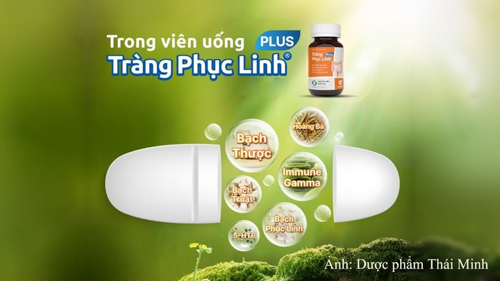 Thành phần của Tràng Phục Linh PLUS là sự kết hợp giữa 4 thảo dược Việt cùng 2 hoạt chất hiện đại 5-HTP và ImmuneGamma®.