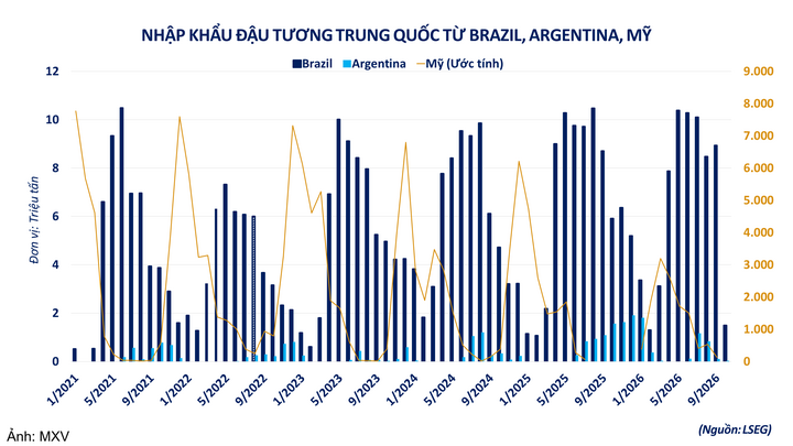 Nhập khẩu đậu tương Trung Quốc từ Brazil, Argentina, Mỹ.