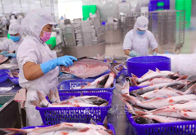 Thuỷ sản là nhóm sản phẩm có tiềm năng xuất khẩu vào Indonesia nhưng doanh nghiệp cần xác định rõ mặt hàng được phép xuất khẩu. Ảnh minh hoạ