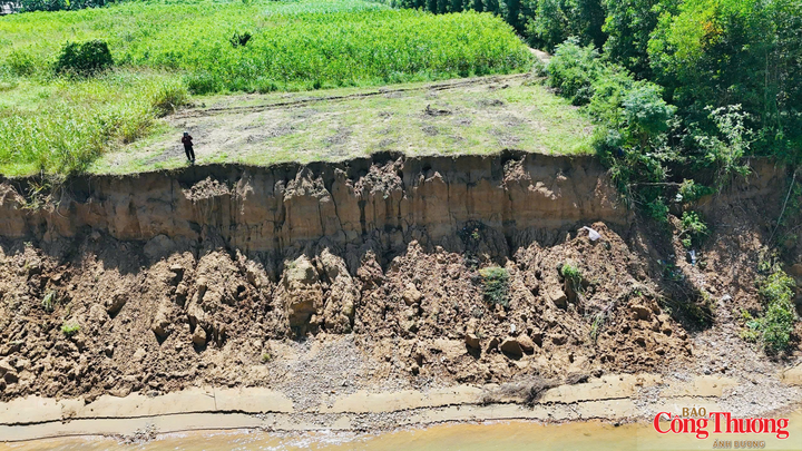 Sông Trà Khúc đoạn qua thôn An Lạc đang bị sạt lở nặng nề
