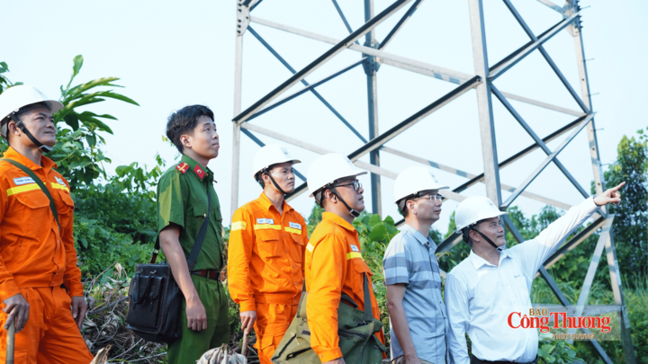 Tổ Quản lý vận hành đường dây Lào Cai khảo sát tại đường dây 220kV Bát Xát - Bảo Thắng.