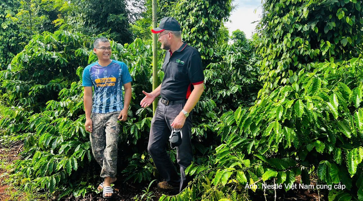 Chương trình Agripreneurship-Nescafé Plan không những giúp cải thiện sinh kế mà còn giúp trang bị những kiến thức khoa học về canh tác cà phê bền vững cho nông dân, đặc biệt là những người trẻ.