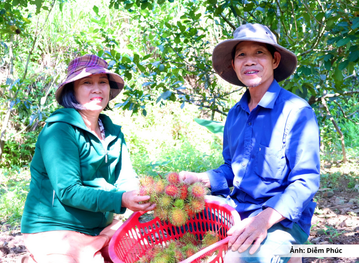 Gia đình ông Võ Ngọc Hồng là một trong những hộ được đảng viên Lê Văn Năm "cầm tay chỉ việc", hiện đã có thu nhập 200 triệu đồng/năm.