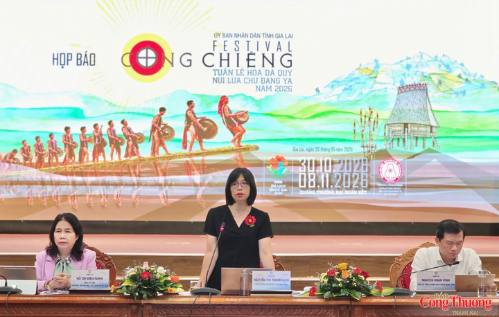 Phó Chủ tịch UBND tỉnh Gia Lai Nguyễn Thị Thanh Lịch phát biểu tại buổi họp báo.