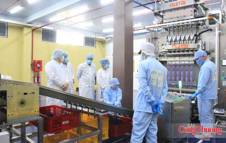 Trong 9 tháng năm 2026, sản xuất công nghiệp trên địa bàn tỉnh tiếp tục tăng trưởng, với công nghiệp chế biến, chế tạo giữ vai trò động lực chủ yếu.