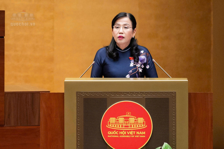 Chủ nhiệm Ủy ban Khoa học, Công nghệ và Môi trường Nguyễn Thanh Hải trình bày Báo cáo thẩm tra dự án Luật sửa đổi, bổ sung một số điều của Luật Điện lực.