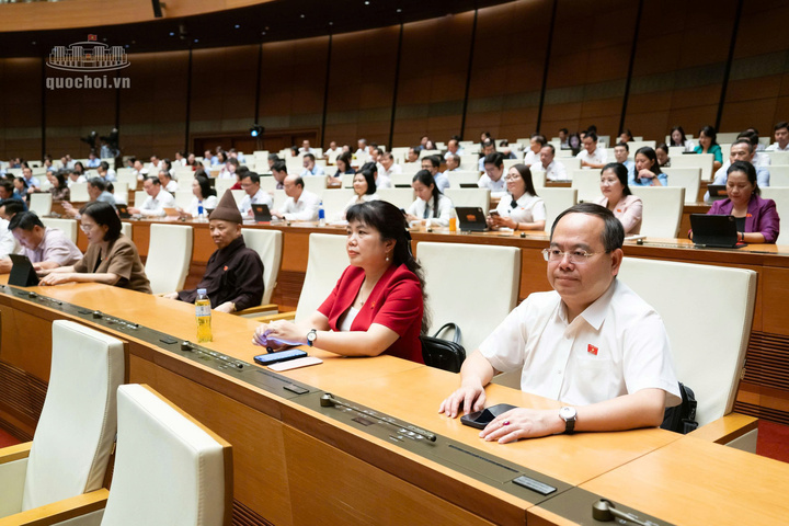 Các đại biểu tham dự phiên họp.