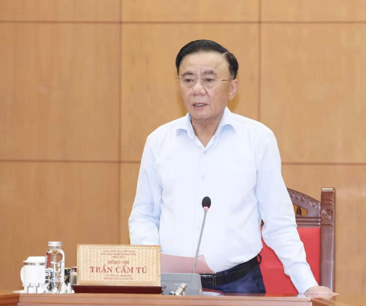 Đồng chí Trần Cẩm Tú, Ủy viên Bộ Chính trị, Thường trực Ban Bí thư, Trưởng Ban Chỉ đạo Trung ương phát biểu kết luận phiên họp. (Ảnh: Phương Hoa/TTXVN)