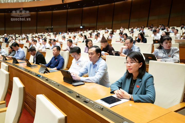 Các đại biểu dự kỳ họp. Ảnh: Quochoi.vn