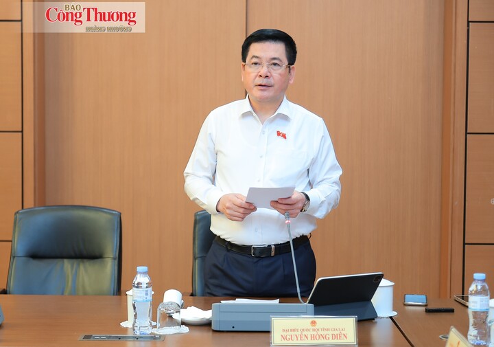 Phó Chủ tịch Quốc hội Nguyễn Hồng Diên, đại biểu Quốc hội tỉnh Gia Lai phát biểu thảo luận tại Tổ 13.