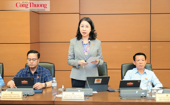 Đại biểu Phan Thị Thùy Linh, Đoàn Thanh Hóa.