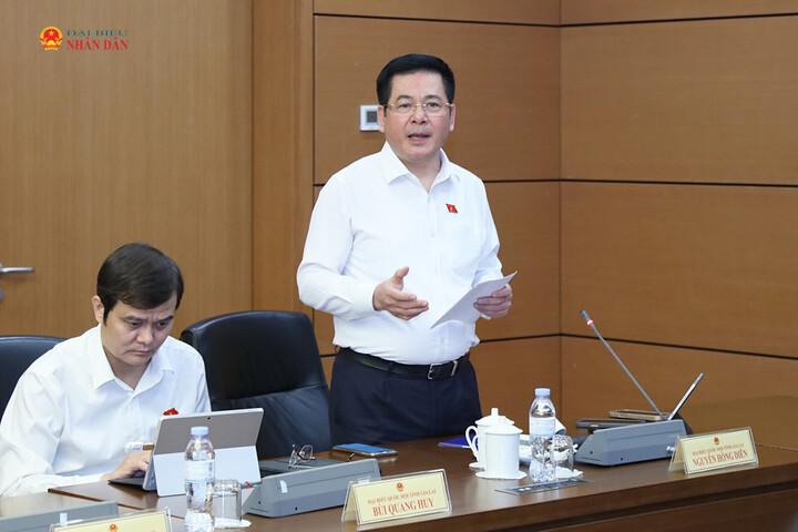Phó Chủ tịch Quốc hội Nguyễn Hồng Diên phát biểu thảo luận. Ảnh: An Nhiên