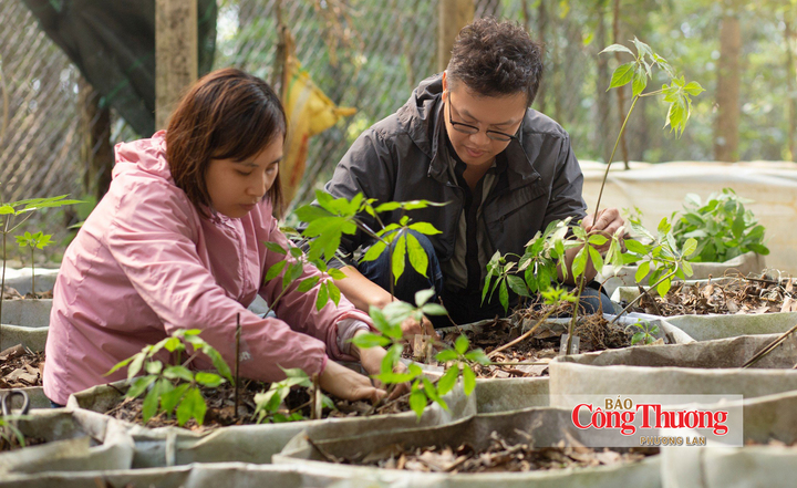 Sâm Ngọc Linh xuất hiện tại chương trình