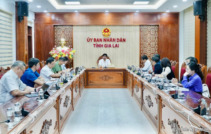 Cuộc họp nghe đề xuất về Giải thi đấu Robotics quốc tế The Gong Legend Signature Event - VIQRC MS + ES, mùa giải 2026-2027.