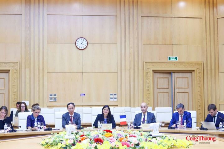Bà Éléonore Caroit, Bộ trưởng Ủy quyền thuộc Bộ Ngoại giao và Châu Âu Pháp, phụ trách Cộng đồng Pháp ngữ, các quan hệ đối tác quốc tế và người Pháp ở nước ngoài cùng các đại diện tại buổi làm việc.