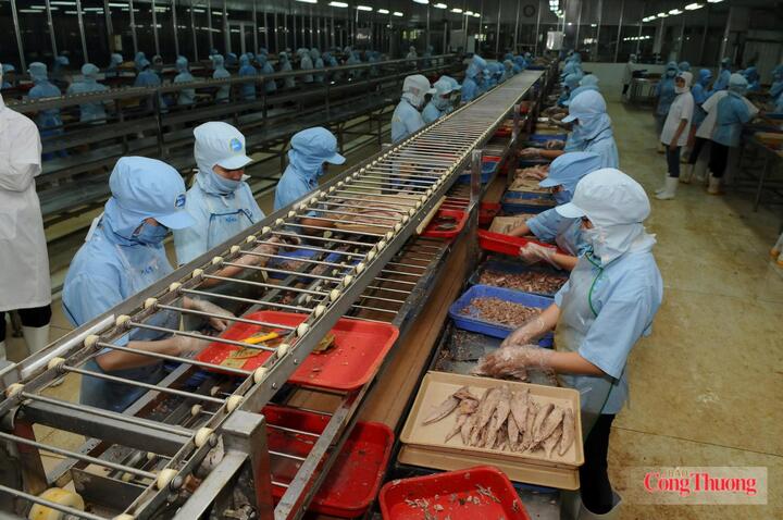 Israel là một trong những thị trường tiềm năng để mở rộng cơ hội giao thương và nâng cao hiệu quả xuất khẩu thủy sản. Ảnh minh họa: Cấn Dũng